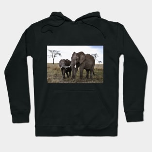 African Elephants Hoodie